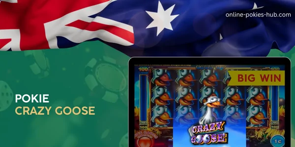 monitor with pokie crazy goose, australian flag, inscription on green playing chips and dice background