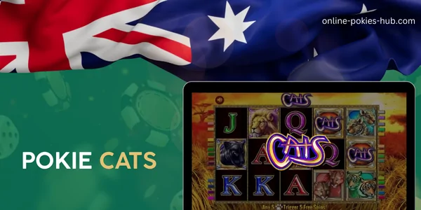 monitor with pokie cats, australian flag, inscription on green playing chips and dice background