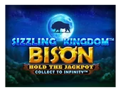 Bizon logo