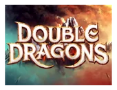 Double Dragons logo