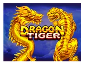 Dragon Tiger logo